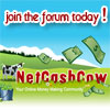 NCC Make money online forum